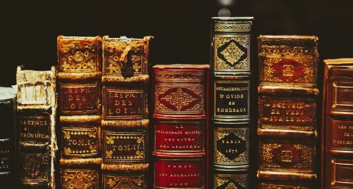 a photo of a shelf of old leather books