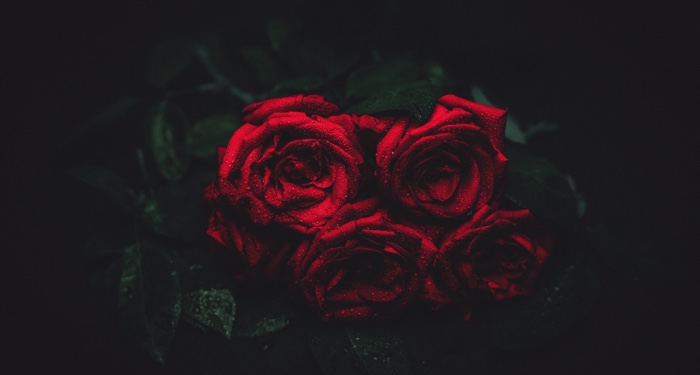 Gothic Novels I’d Like to See as Graphic Novels