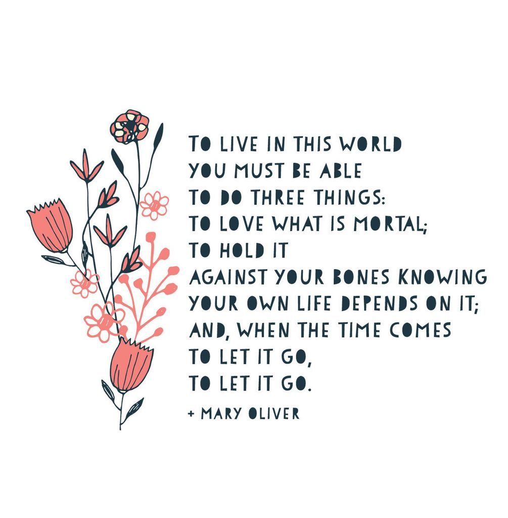 Mary Oliver Prints To Bring Nature  Healing  and Inspiration To Your Home - 69