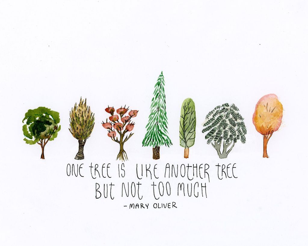 Mary Oliver Prints To Bring Nature  Healing  and Inspiration To Your Home - 67