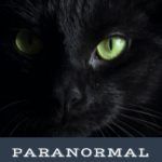 These Paranormal Cozy Mysteries Will Cast a Spell on You - 57