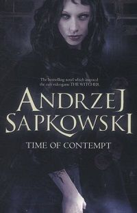 cover of the witcher time of contempt