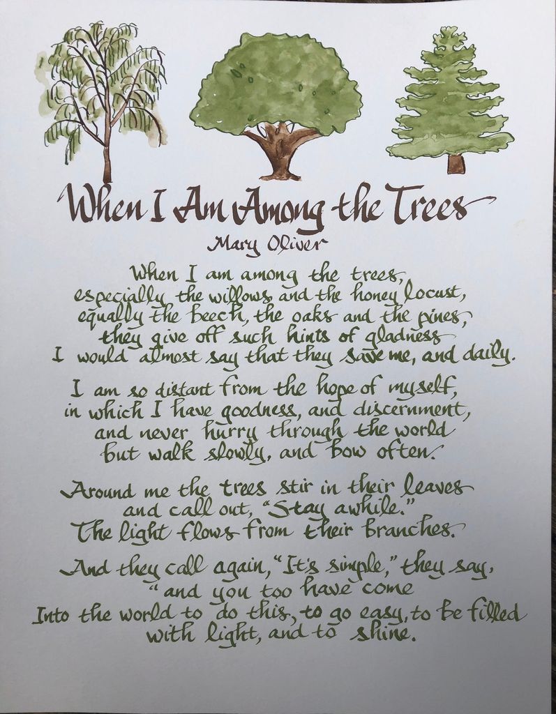 Mary Oliver Prints To Bring Nature  Healing  and Inspiration To Your Home - 26