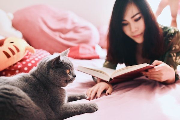 10 Cat Behavior Books With Techniques to Tame Your Feisty Feline - 16