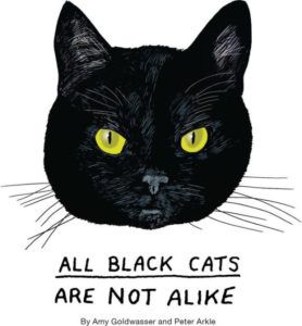 All Black Cats Are Not Alike by Amy Goldwasser