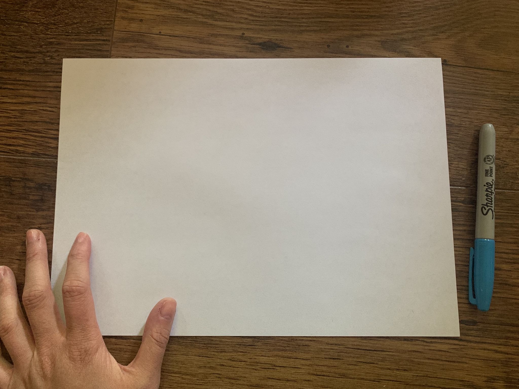 How to Make a Zine A Beginner's Guide Book Riot