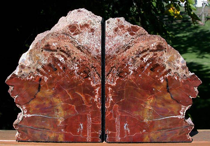 Bring The Outdoors In With Petrified Wood Bookends - 16