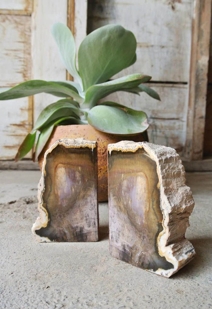 Bring The Outdoors In With Petrified Wood Bookends - 59