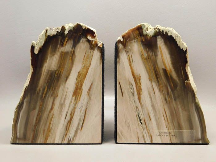 Bring The Outdoors In With Petrified Wood Bookends - 82