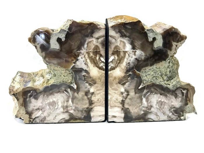 Bring The Outdoors In With Petrified Wood Bookends - 8