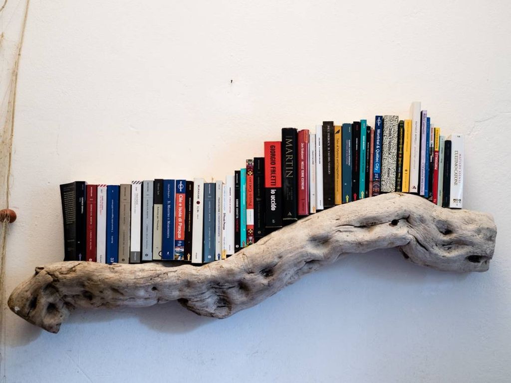 driftwood bookshelf snake