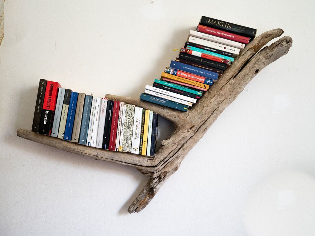 driftwood bookshelf