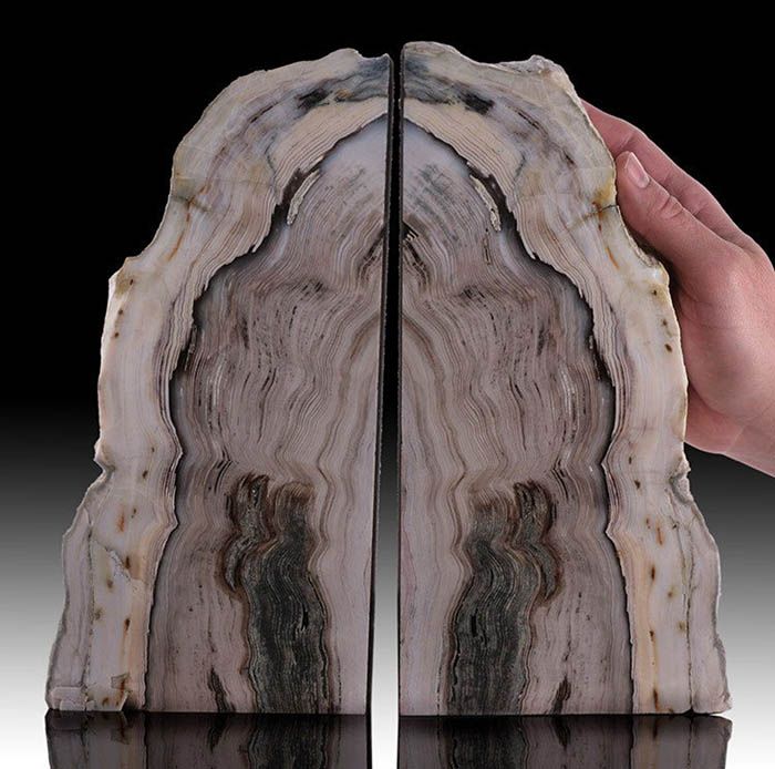 Bring The Outdoors In With Petrified Wood Bookends - 32