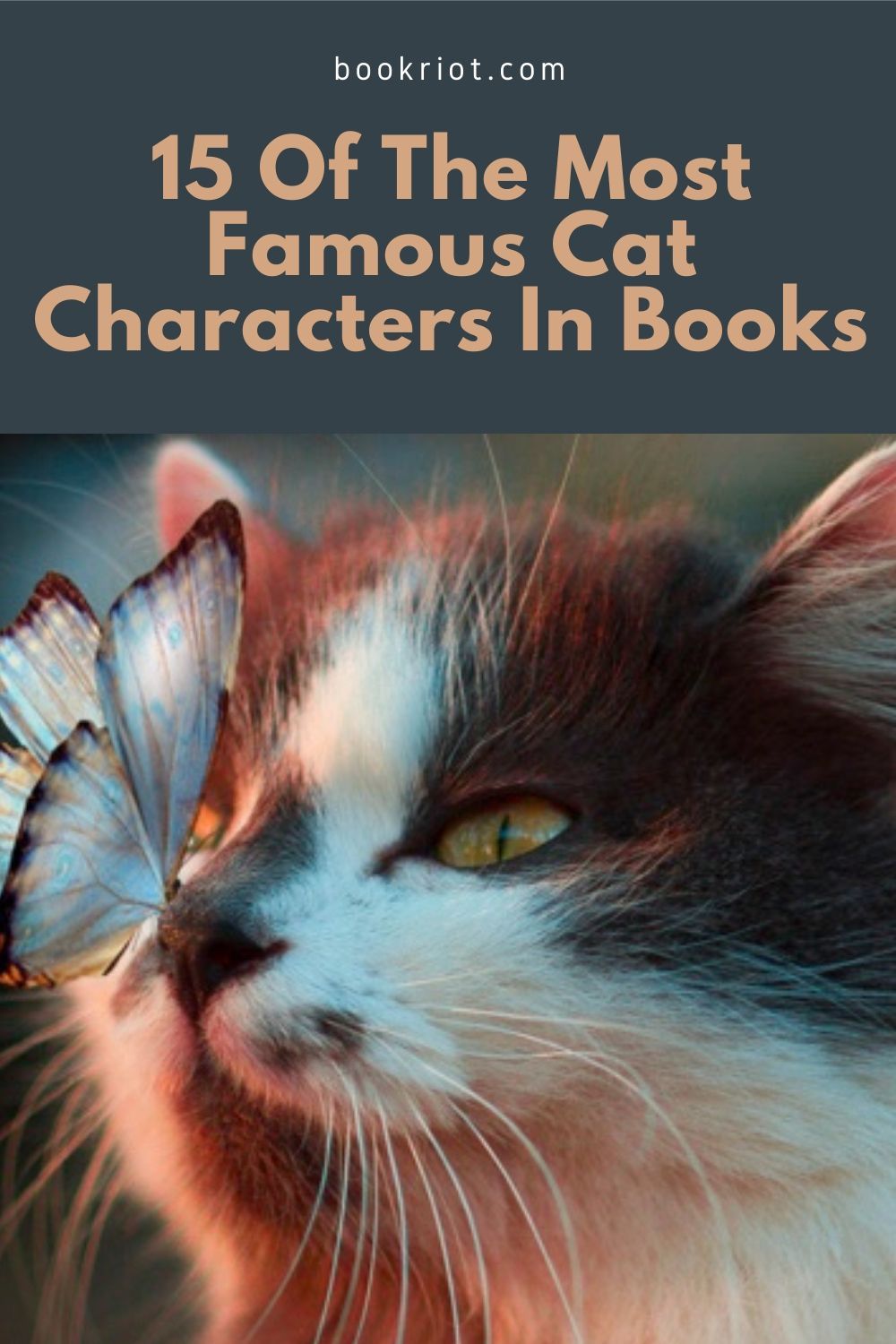 15 of the Most Famous Cat Characters in Books | Book Riot