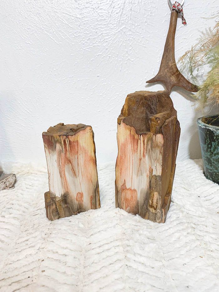 Bring The Outdoors In With Petrified Wood Bookends - 91