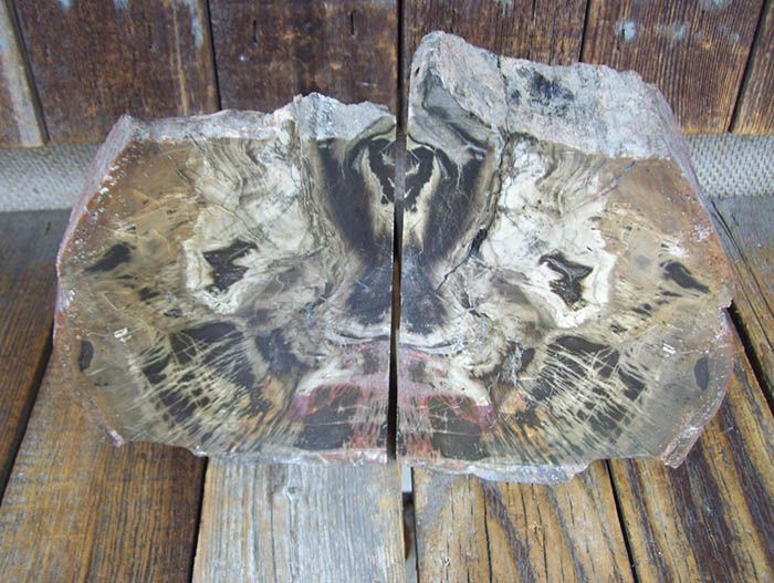 Bring The Outdoors In With Petrified Wood Bookends - 1