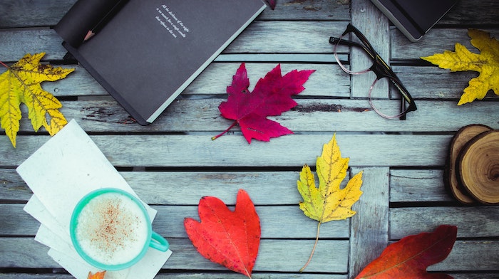 10 Gorgeous Poets Like Mary Oliver