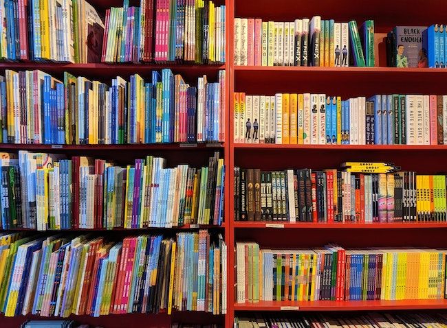 How To Organize Bookshelves  A Guide To Myriad Options - 73