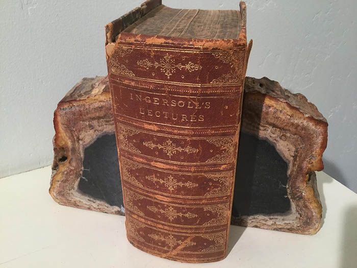 Bring The Outdoors In With Petrified Wood Bookends - 91