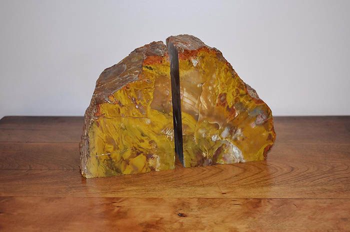 Bring The Outdoors In With Petrified Wood Bookends - 83