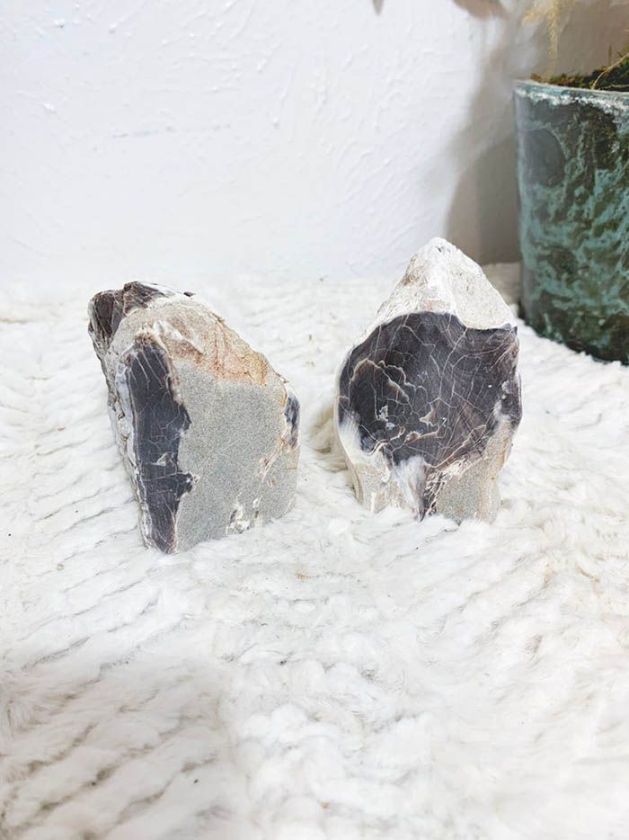 Bring The Outdoors In With Petrified Wood Bookends - 61