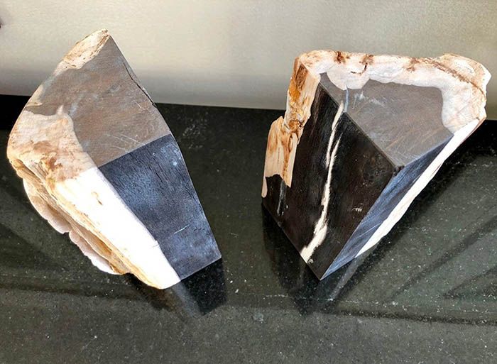 Bring The Outdoors In With Petrified Wood Bookends - 41