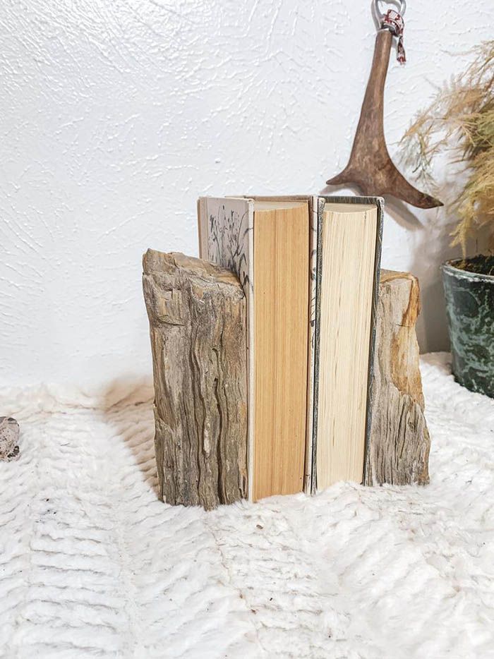 Bring The Outdoors In With Petrified Wood Bookends - 19