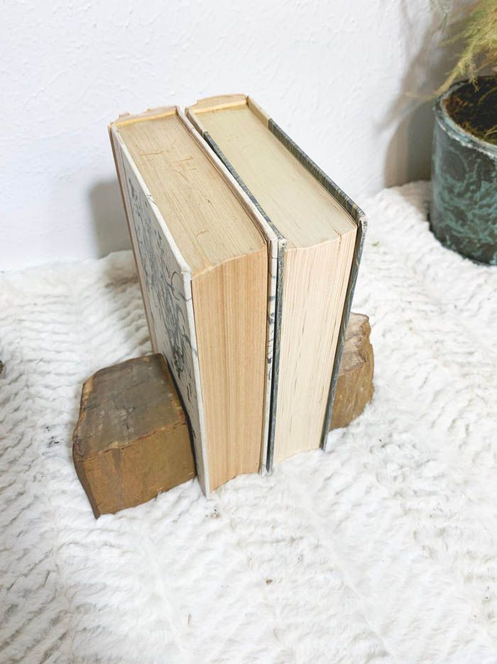 Bring The Outdoors In With Petrified Wood Bookends - 55