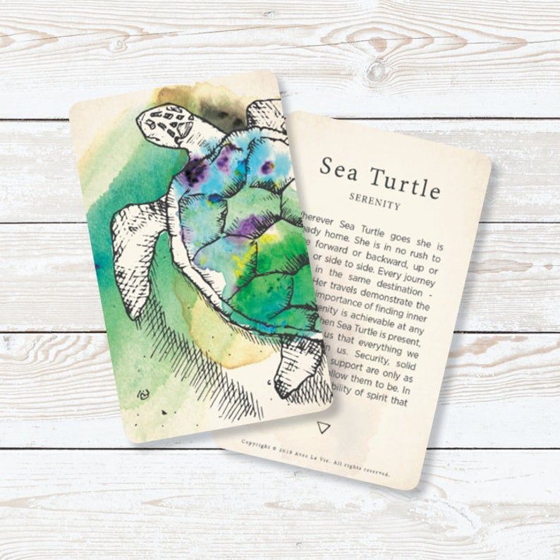 Image of the Sea Turtle card from the Fauna Inspiration deck