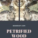 Bring The Outdoors In With Petrified Wood Bookends - 91