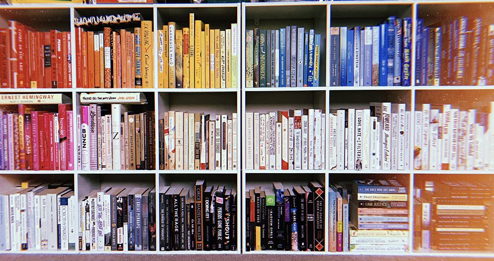 Rainbow bookshelves
