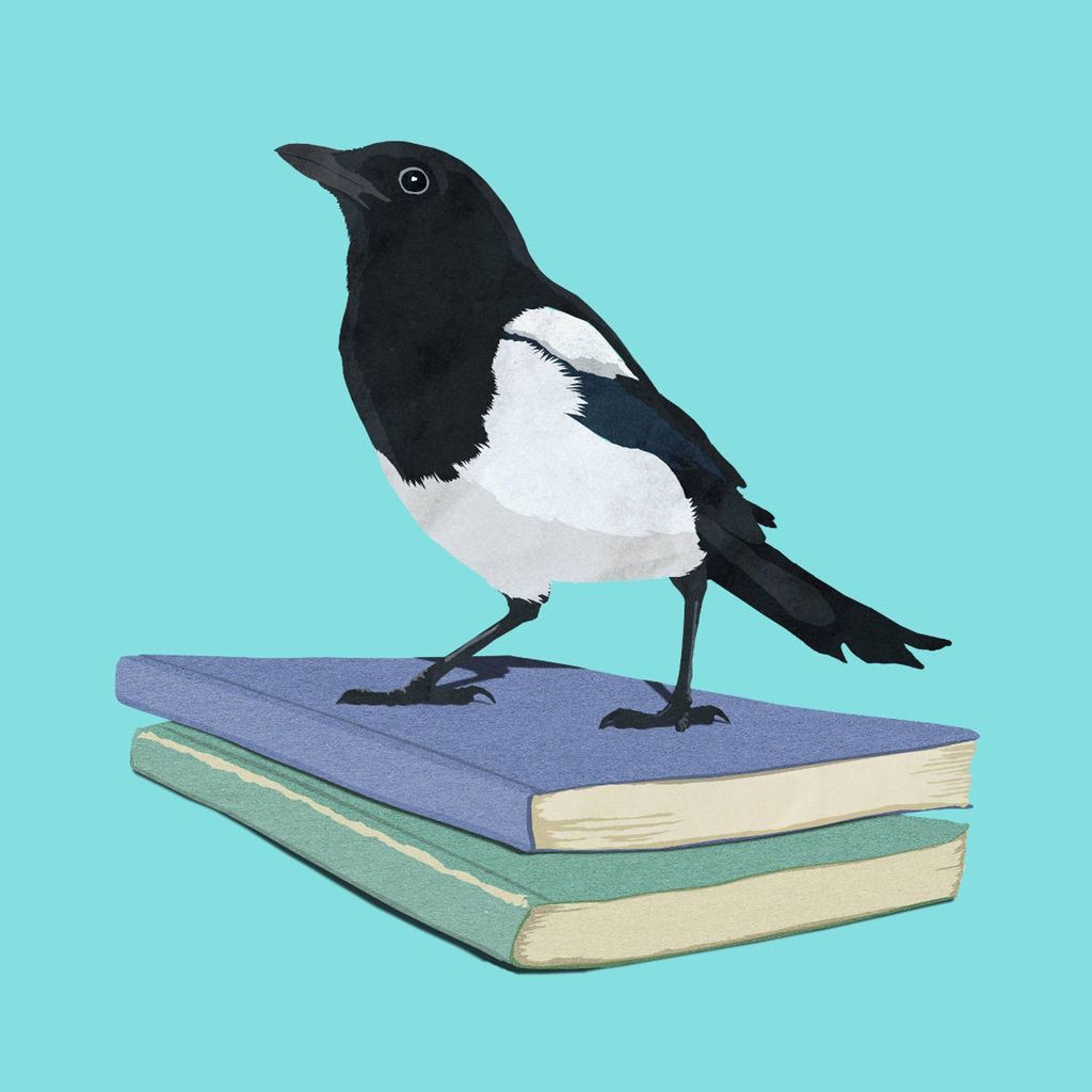 Give The Perfect Bird Gifts for Book Lovers - 39