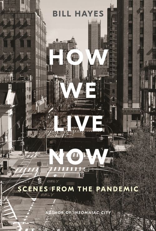 How We Live Now by Bill Hayes