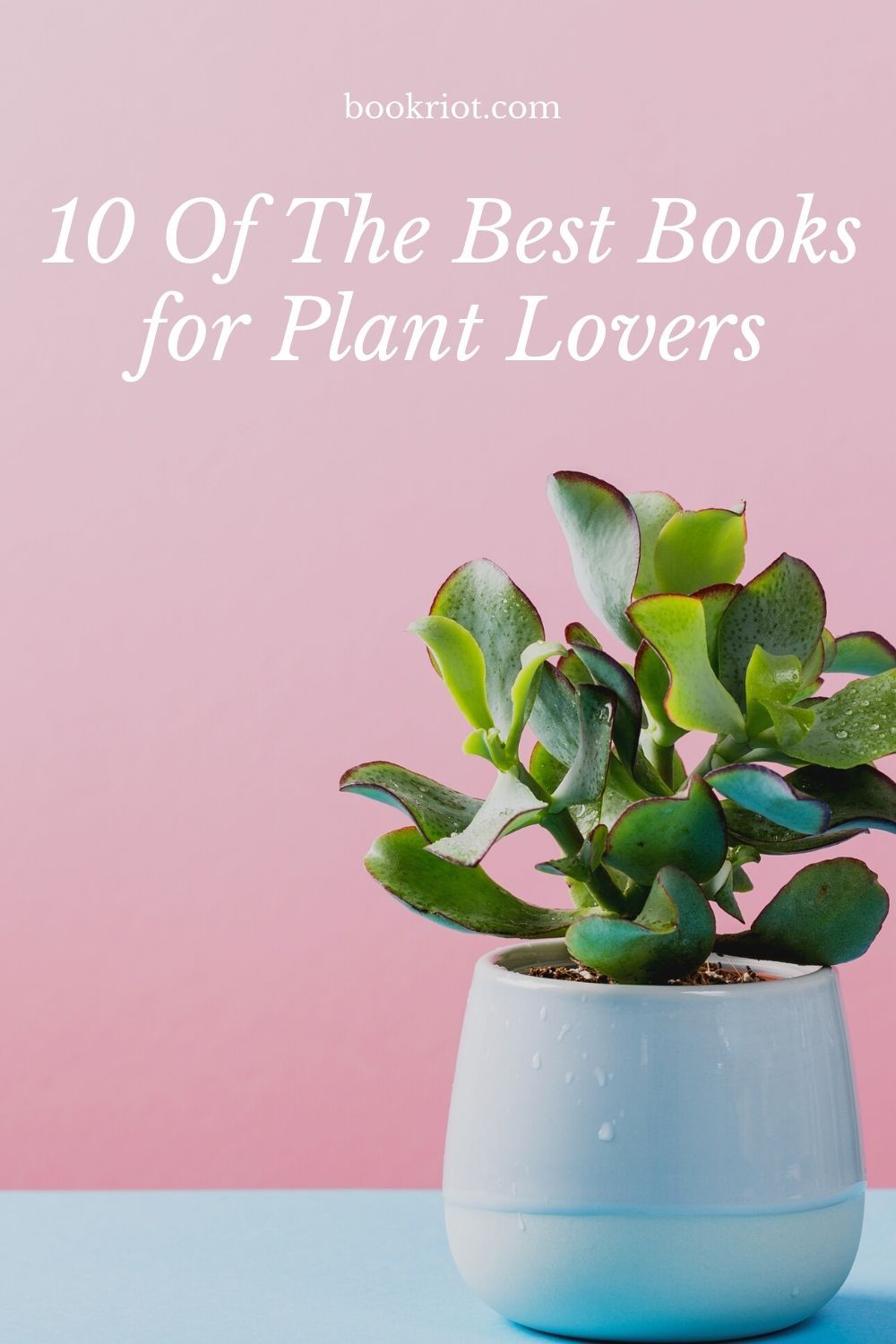 10. Sanctuary For Plant Lovers