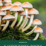 The Fungal World  8 Astounding Books About Mushrooms and Fungi That Will Blow Your Mind - 77