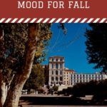 5 Campus Novels to Get You In The Mood For Fall - 30