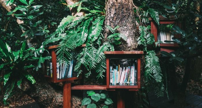 Please Don't Donate These Books to Little Free Libraries