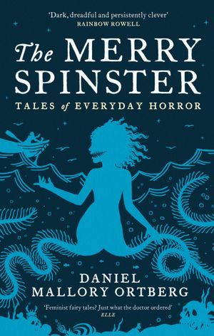 The Merry Spinster book cover