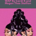 5 of the Best Books Like WAP By Cardi B and Megan Thee Stallion - 64