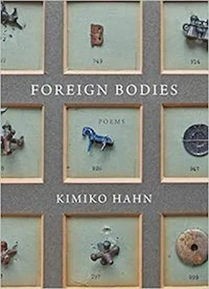 Foreign Bodies book cover