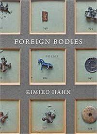 Foreign Bodies book cover