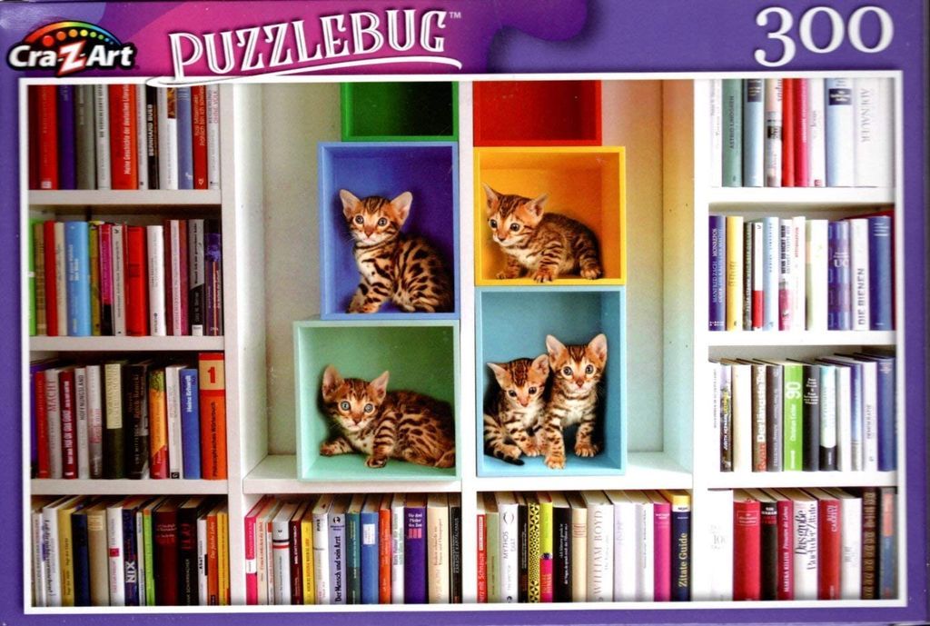 The Ultimate Guide To Book Puzzles To Do and To Give This Winter - 38
