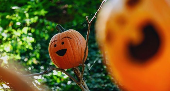 image of a smiling carved pumpkin https://unsplash.com/photos/80jPsacAjUs