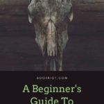 A Beginner s Guide to the Western Gothic Genre - 75