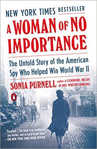 An unimportant woman by Sonia Purnell