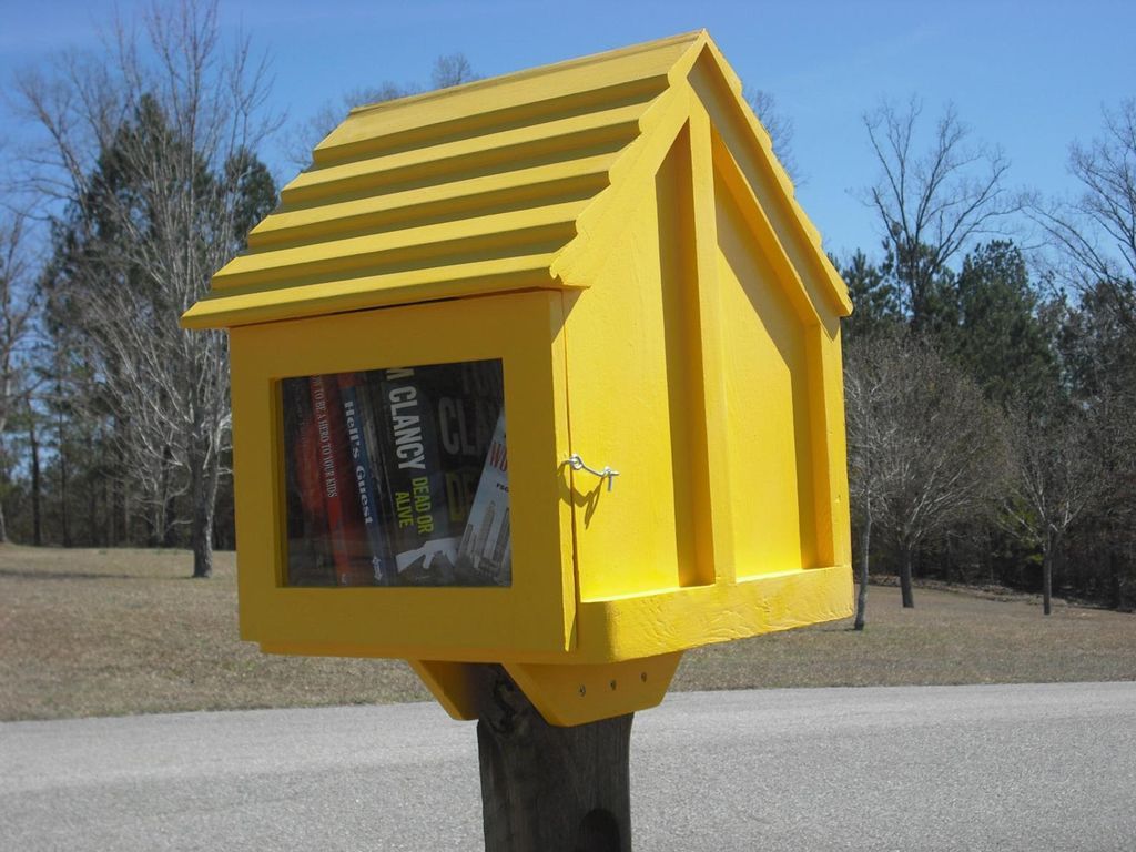 14 Little Free Libraries to Buy - 22