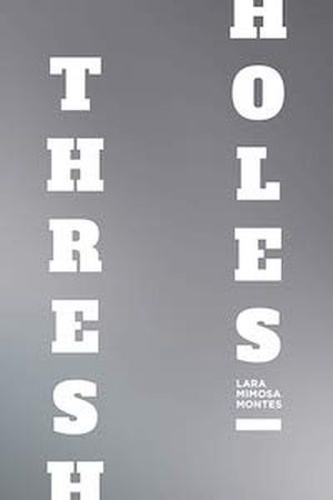 Thresholes book cover