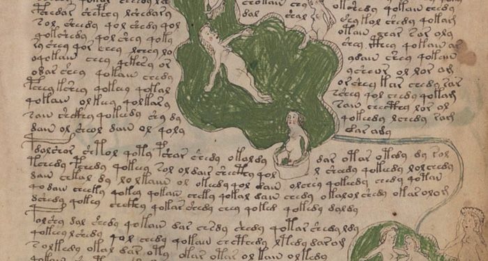 voynich manuscript page showing water nymphs and undecipherable script
