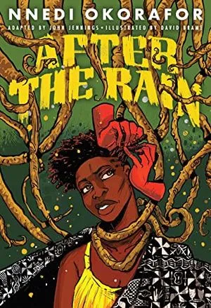 After the Rain book cover