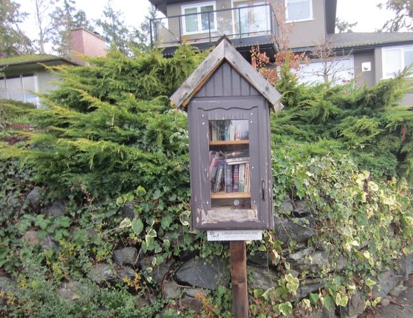 A Little Free Library Walking Tour of My Neighborhood - 65